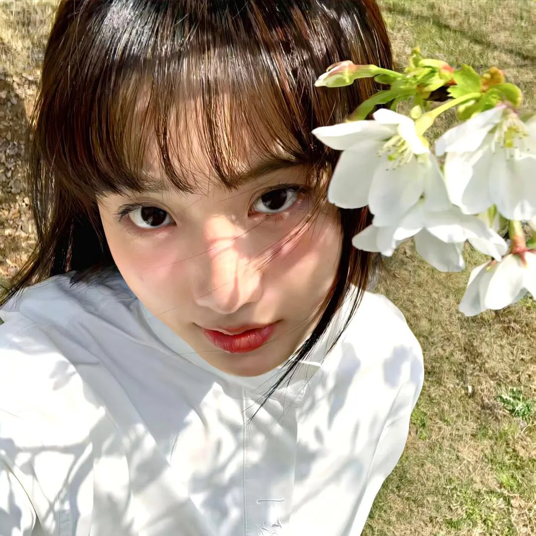 埋藏的宝藏